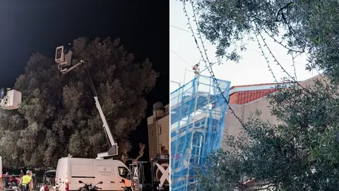 Instalaci&oacute;n das luces de Nadal na Oliveira de Vigo