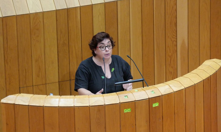 Carmela González, deputada do BNG no Parlamento galego