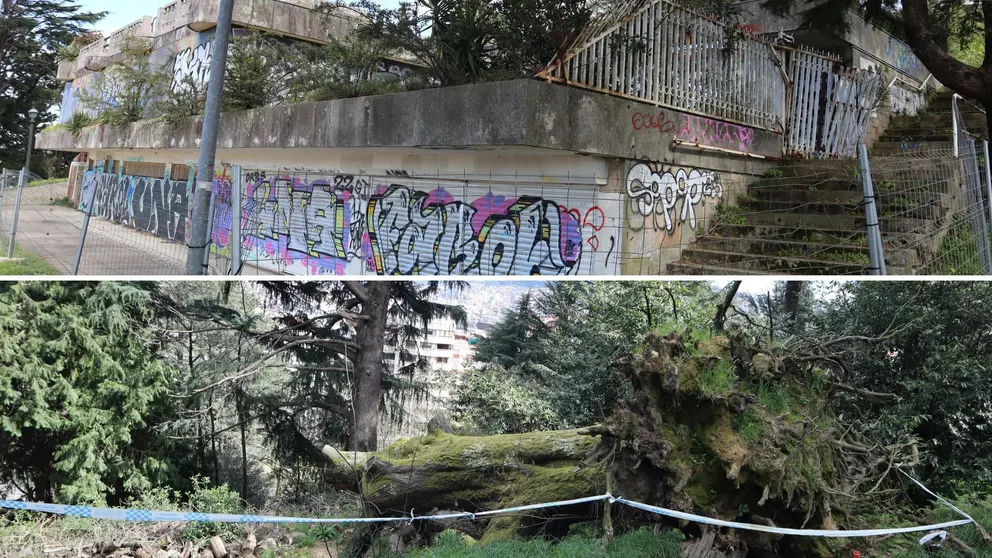 Estado de abandono da antiga cafetar&iacute;a e &aacute;rbore ca&iacute;da no Castro