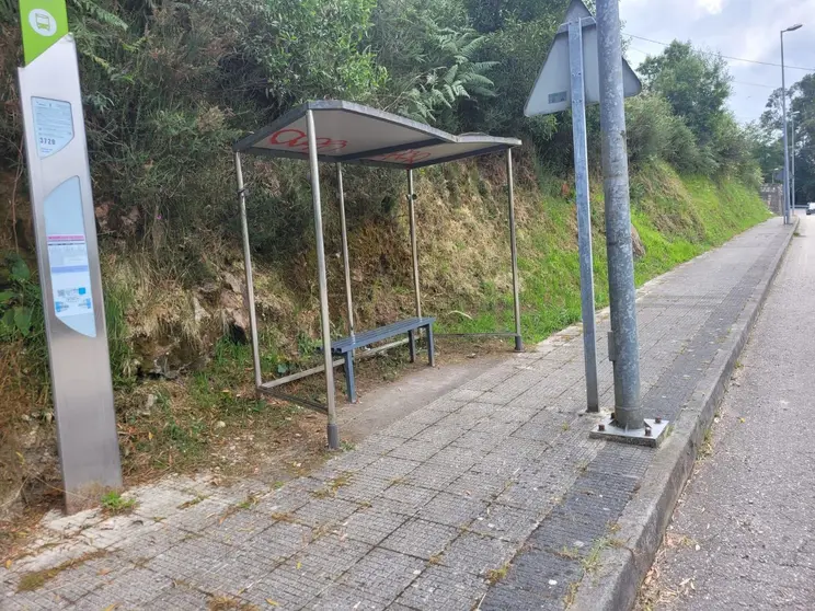 Aspecto dunha das paradas