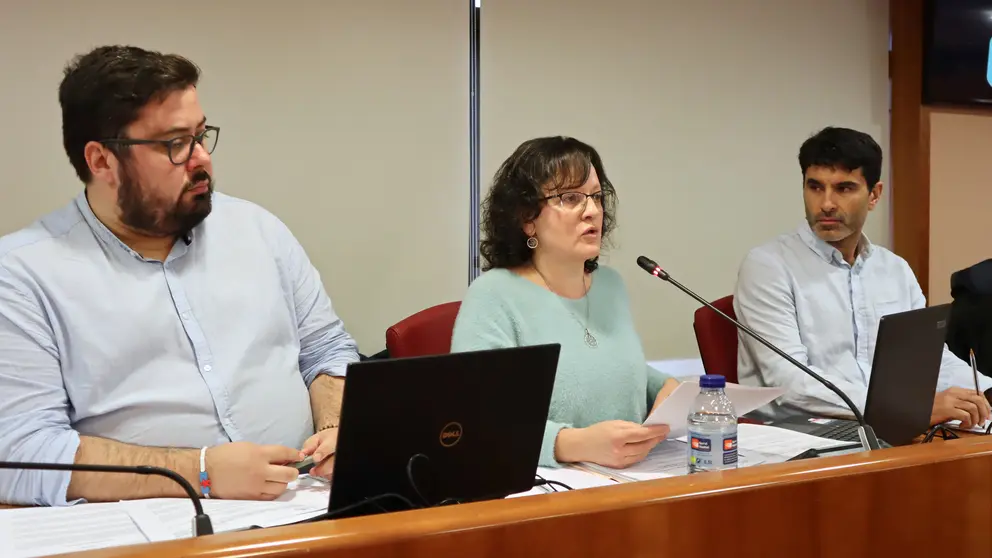 Ana Mart&iacute;nez, Xabier P. Igrexas (esq) e Filipe Abalde no Pleno de Vigo