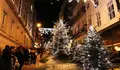O BNG de Vigo advírtelle ao alcalde que instalar alumeado de nadal nas árbores da cidade é ilegal