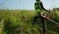 O BNG de Vigo propón a creación dunha oficina municipal para axudar e asesorar a veciñanza na xestión da biomasa das súas parcelas