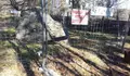 O BNG pide explicacións polo feche cun valado de obra do dolmen da Casa dos Mouros en Candeán