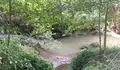 O BNG de Vigo interpela o Goberno municipal sobre o control de vertidos no río Lagares