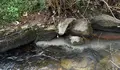 O BNG de Vigo denuncia novas verteduras no río Lagares e pide intensificar os controis
