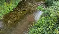 O BNG de Vigo denuncia un novo vertido no río Lagares