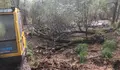 O BNG de Vigo pide a paralización inmediata das obras denunciadas no nacemento do río Lagares