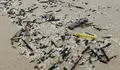 O BNG chama a activar un plan de emerxencia ante o risco dunha marea de pellets nos areais de Vigo