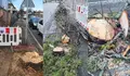 O BNG reclama a Abel Caballero que “garde a motoserra” despois dun novo “arboricidio” en Vigo