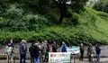 O BNG de Vigo esixe a Caballero que anule definitivamente a talla de árbores na Falperra que foi paralizada grazas á mobilización veciñal