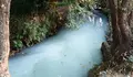 O BNG de Vigo chama a reforzar o control no río Lagares ante os continuos vertidos ilegais