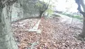 O BNG de Vigo denuncia que o Goberno municipal segue sen aclarar a desaparición do lavadoiro histórico da Barroca