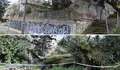 O BNG de Vigo urxe actuacións do Goberno local ante o estado de abandono do monte do Castro
