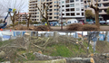 O BNG de Vigo esixe poñer fin ao “arboricidio permanente” após as tallas masivas na Florida e na contorna do Castro