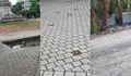 O BNG denuncia o abandono da praza da Independencia e demanda un maior coidado dos barrios e parroquias de Vigo