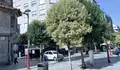 O BNG de Vigo pide reforzar o control de acceso de vehículos na peonil do Calvario