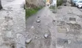 O BNG alerta do “estado lamentábel” das rúas en Vigo: o 96% dos recursos para mantemento están sen gastar