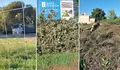 O BNG de Vigo alerta da talla de carballos nas obras do Plan Parcial de Navia e pide a súa reposición