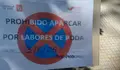 O BNG denuncia podas en Castrelos en pleno período de nidificación de aves e acusa a Caballero de “neglixencia ambiental”