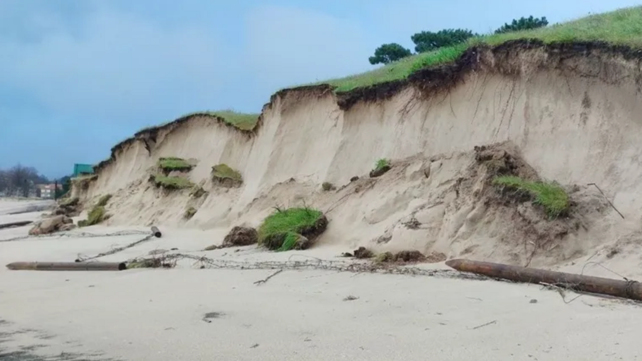 Derrube da duna da Calzoa (Foto_Asociaci&oacute;n ZOA)