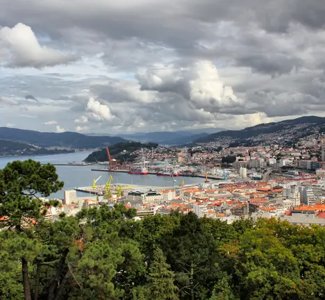 vigo7