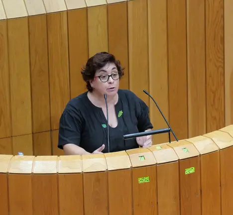 Carmela Gonz&aacute;lez, deputada do BNG no Parlamento galego