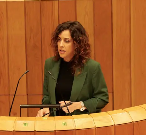 Alexandra Fern&aacute;ndez no Parlamento galego