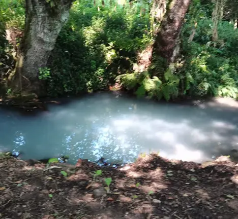 Verteduras no r&iacute;o Eifonso (Imaxe: Ecoloxistas en Acci&oacute;n Vigo)