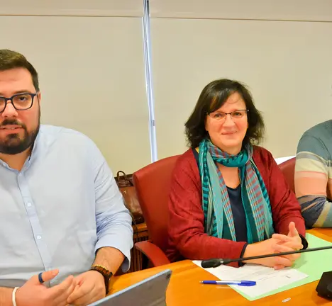 Xabier P. Igrexas, Ana Mart&iacute;nez e Filipe Abalde, Grupo municipal do BNG de Vigo no Pleno