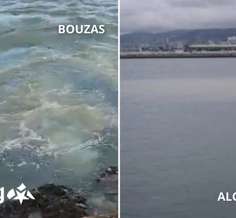 Verteduras na R&iacute;a de Vigo