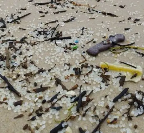 Pellets nas praias galegas [Foto_Noia Limpa]