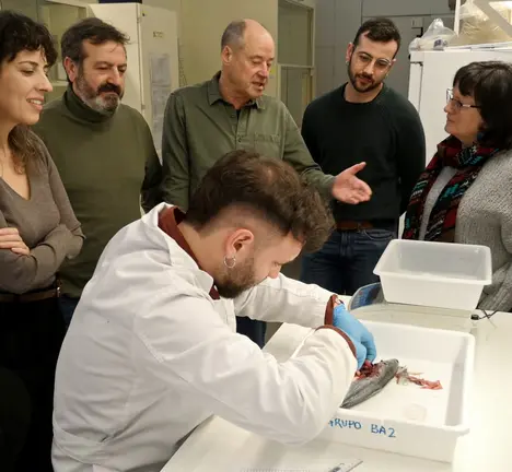 Alexandra Fern&aacute;ndez, Lu&iacute;s Bar&aacute;, Salutiano Mato, Brais Ruanova e Ana Mart&iacute;nez (esq. a der.) durante unha visita a un laboratorio da UVigo