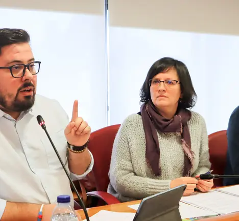 O portavoz municipal, Xabier P. Igrexas, xunto a concelleira Ana Mart&iacute;nez e o concelleiro Filipe Abalde no Pleno de Vigo [Arquivo]
