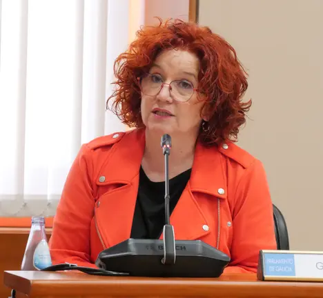 Montse Prado na comisi&oacute;n de Sanidade do Parlamento galego