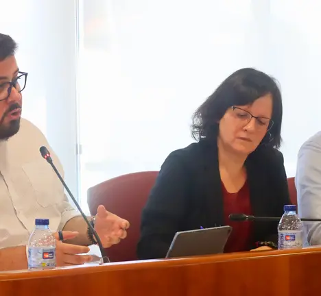 Xabier P. Igrexas, Ana Mart&iacute;nez e Filipe Abalde no Pleno