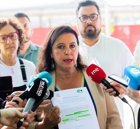 Ana Miranda, cabeza de lista do BNG &aacute;s elecci&oacute;ns europeas, en declaraci&oacute;ns aos medios