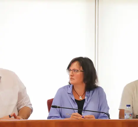 Xabier P Igrexas, Ana Mart&iacute;nez e Filipe Abalde no Pleno municipal de Vigo
