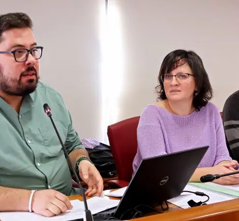 O grupo municipal do BNG, Xabier P Igrexas, Ana Mart&iacute;nez e Filipe Abalde, no Pleno