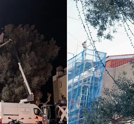Instalaci&oacute;n das luces de Nadal na Oliveira de Vigo