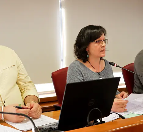 Ana Mart&iacute;nez xunto a Xabier P. Igrexas (esq) e Filipe Abalde no Pleno (imaxe arquivo)
