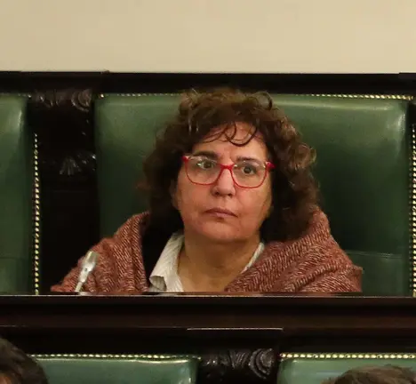 Manuela Rodr&iacute;guez, deputada do BNG na Depo