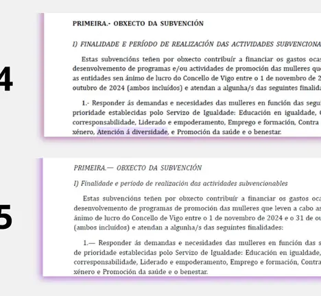Exclusi&oacute;n do criterio de diversidade das subvenci&oacute;ns de Igualdade