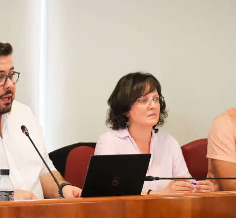 Xabier P. Igrexas, Ana Martinez e Filipe Abalde no Pleno de Vigo