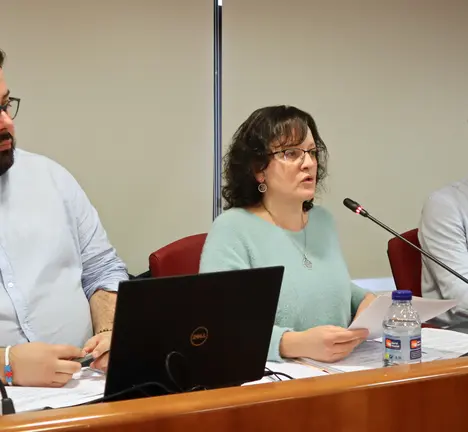 Ana Mart&iacute;nez, Xabier P. Igrexas (esq) e Filipe Abalde no Pleno de Vigo
