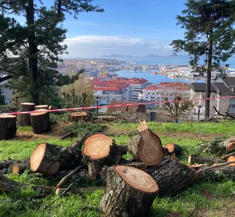 &Uacute;ltimo arboricidio de Caballero no Castro