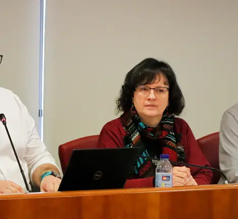 Xabier P. Igrexas, Ana Mart&iacute;nez e Filipe Abalde no Pleno