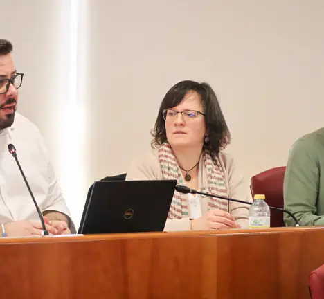 Xabier P. Igrexas, Ana Mart&iacute;nez e Filipe Abalde, no Pleno de Vigo