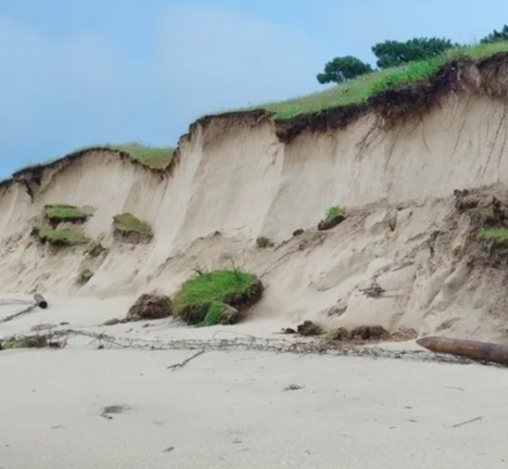Derrube da duna da Calzoa (Foto_Asociaci&oacute;n ZOA)