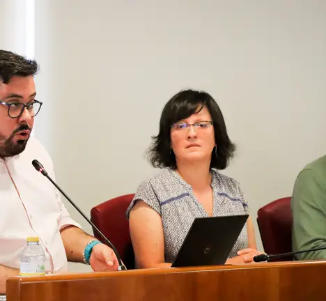Xabier P. Igrexas, Ana Mart&iacute;nez e Filipe Abalde no Pleno de Vigo